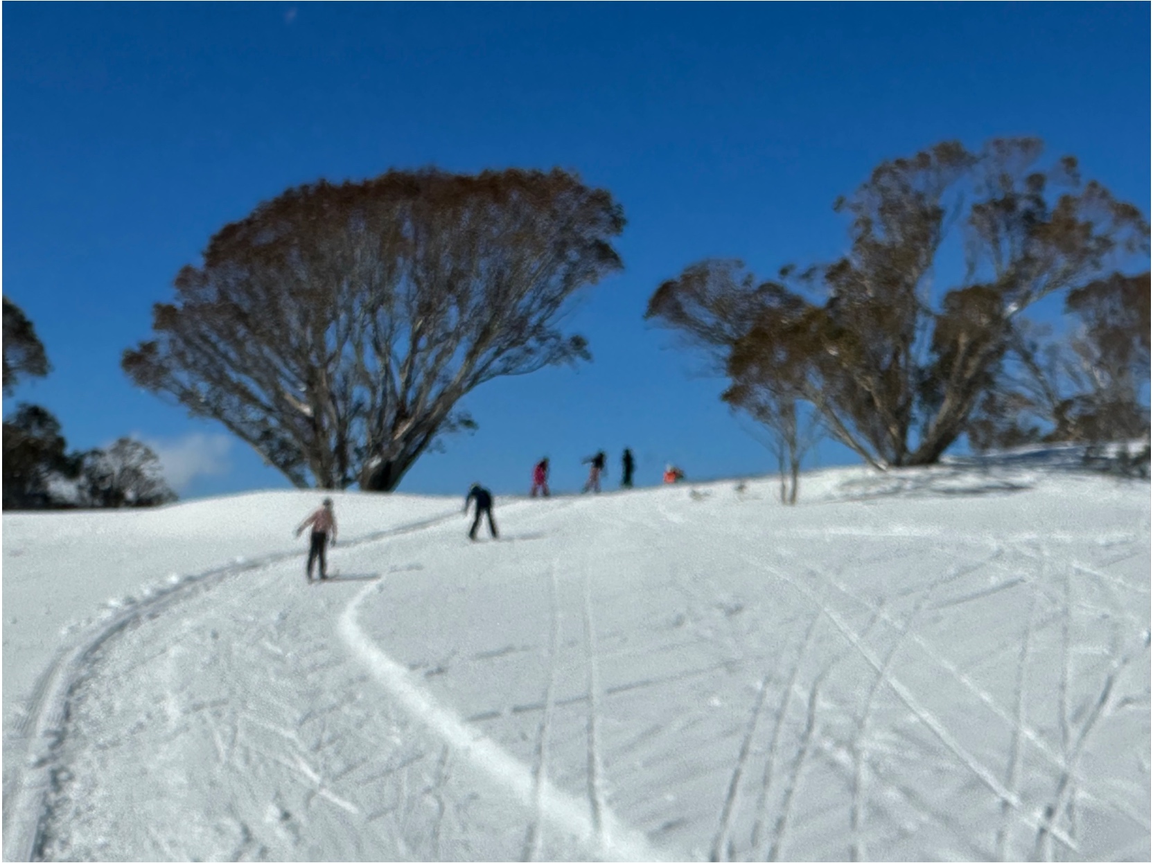 Cross country